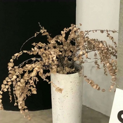 枣阳FurryQQ群介绍